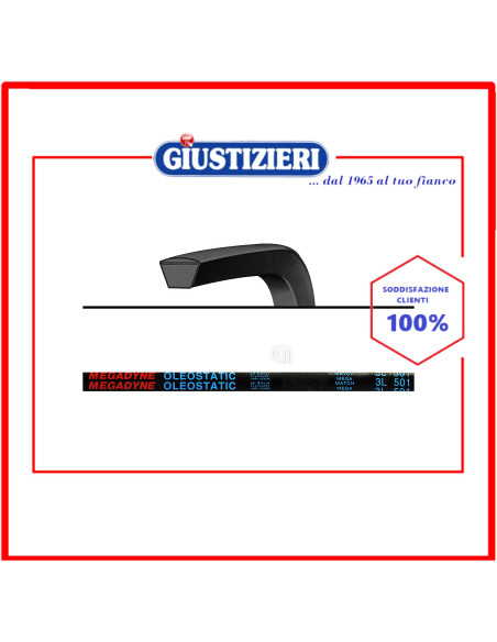 cinghia 3l 1272 lavatrice ardo merloni