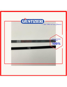 cinghia elastica poly-v