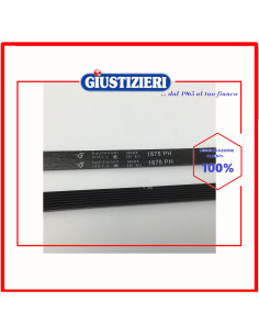 cinghia h7 1875 poly-v lavatrice universale