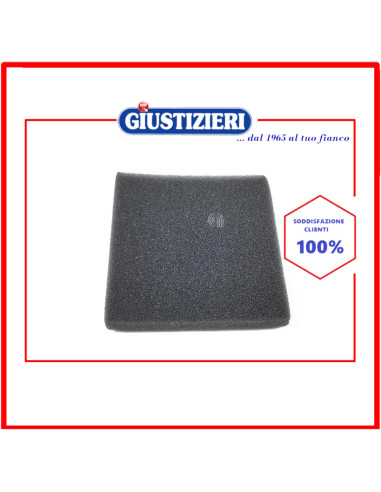 filtro spugna originale aspirapolvere electrolux