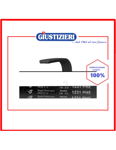 cinghia h8 1231 poly-v lavatrice universale