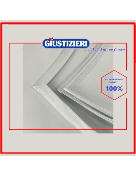 gruppo guarnizione porta sbs frz