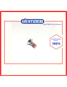 vite,puleggia,m10x25 af tsp