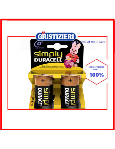 set 2 pile alcaline torcia duracell