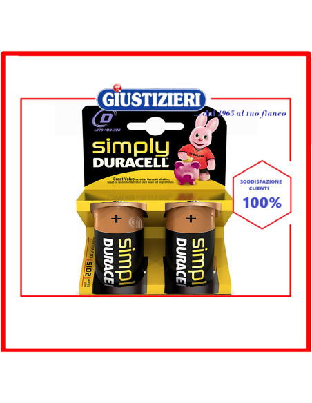 set 2 pile alcaline torcia duracell