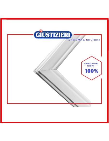 guarnizione magnetica originale congelatore electrolux