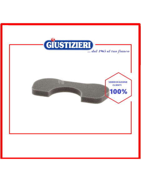 filtro originale aspirapolvere bosch