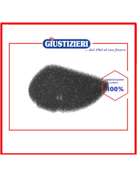 filtro originale aspirapolvere bosch