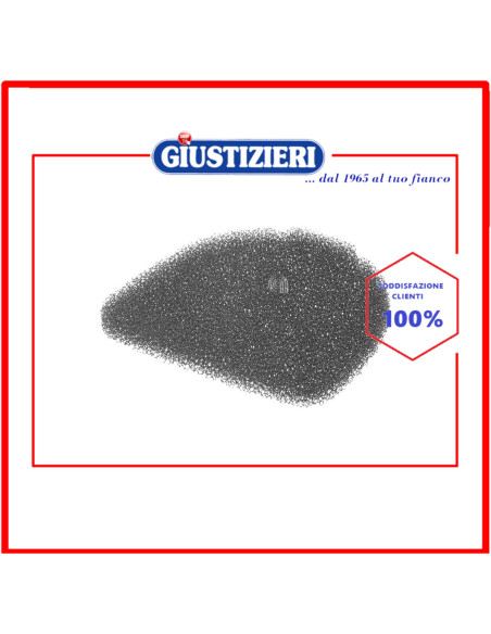 filtro originale aspirapolvere bosch