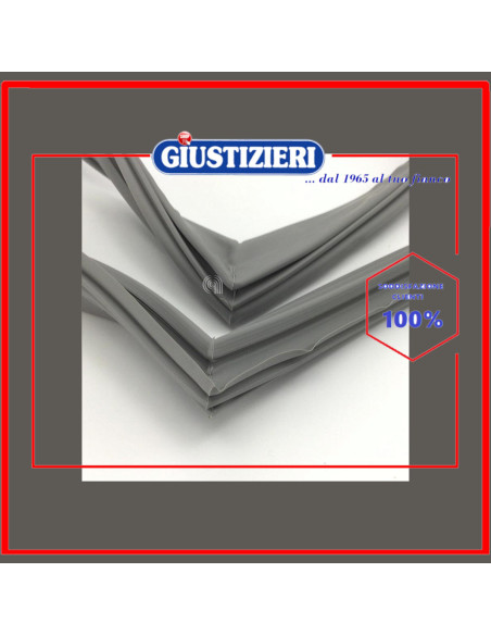 guarnizione magnetica cn.sears grig
