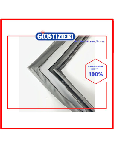 gruppo guarnizione porta sbs frz
