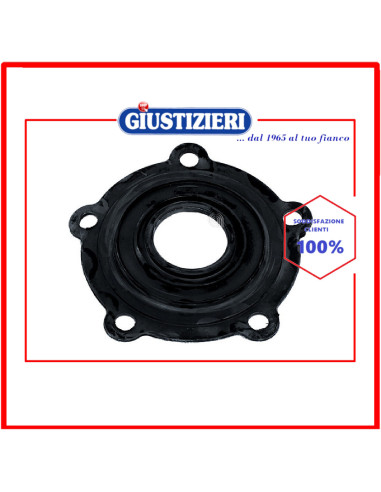 guarnizione flangia boiler ariston
