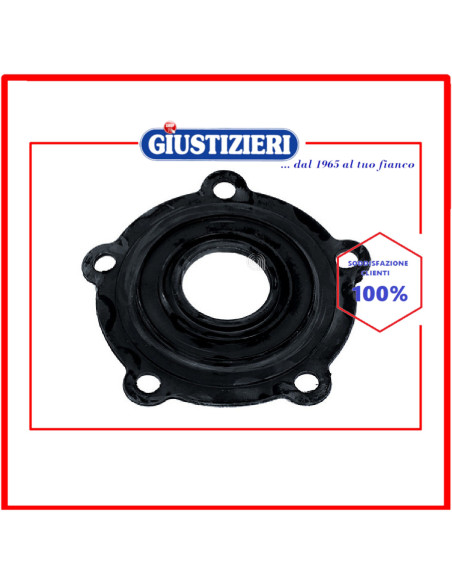 guarnizione flangia boiler ariston