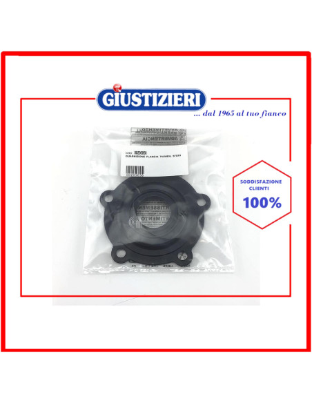guarnizione flangia boiler ariston