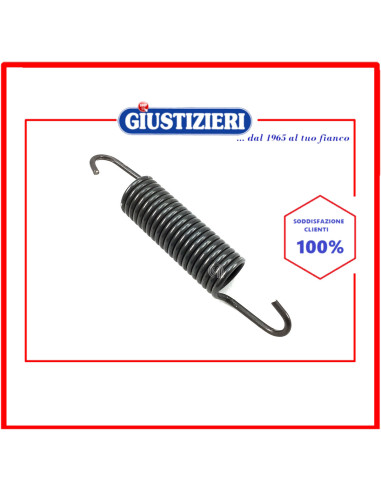 molla cestello originale lavatrice samsung