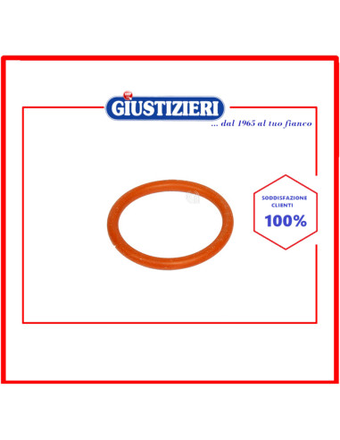 guarnizione o-ring originale macchina da caffè de longhi