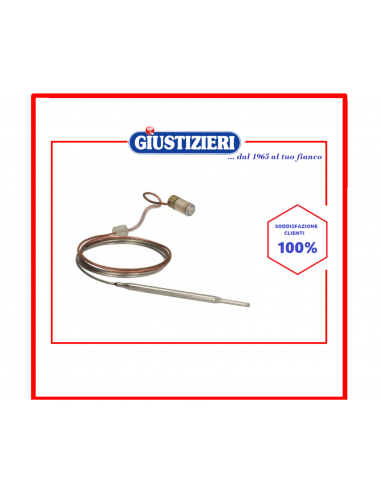 3523042 elemento sensibile minisit...