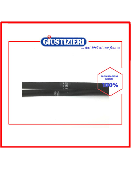 cinghia 1228 h8 tem (eph) poly-v