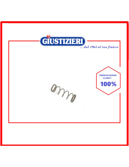 spring for boiler valve