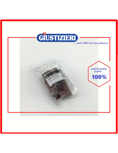 spazzole motore lavatrice indesit