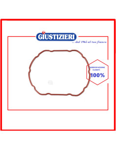 guarnizione caldaia forever 600 lsr originale ferro da stiro polti