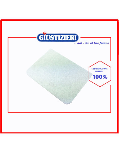 microfiltro originale aspirapolvere rowenta