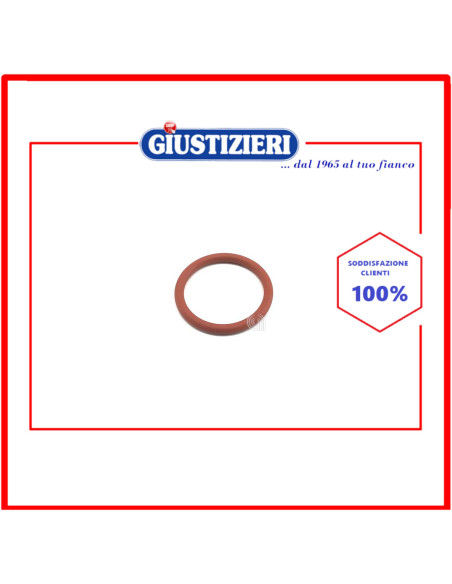 o-ring originale macchina da caffè smeg