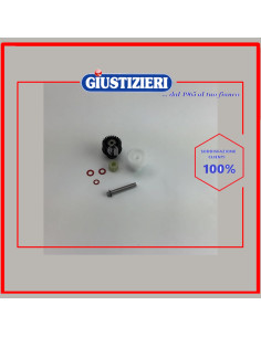 pignone*3+asse+rondella*3