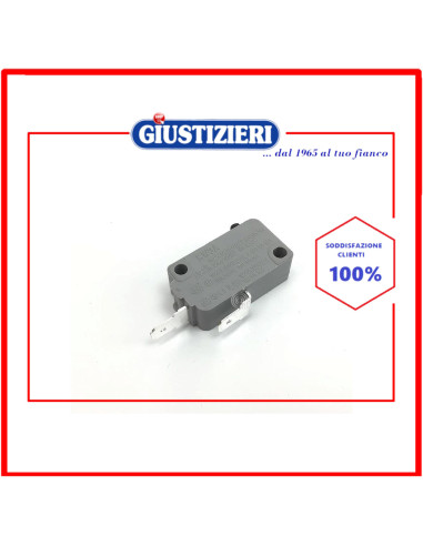 microswitch interlock