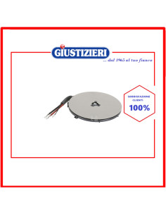 induction hotplate