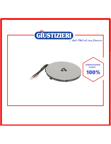induction hotplate