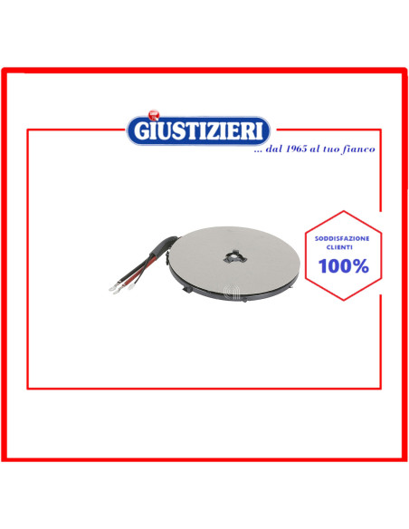 induction hotplate