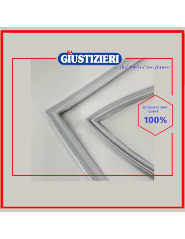 guarnizione porta freezer 656x783