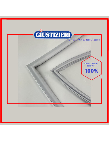 guarnizione porta freezer 656x783