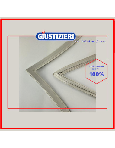 guarnizione porta freezer sharp