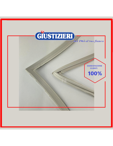 guarnizione porta freezer sharp