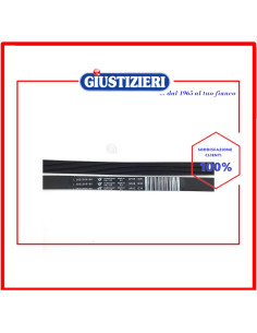 cinghia elastica poly-v