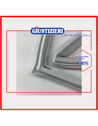 magnetic gasket
