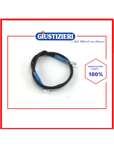 blue cable nucleus