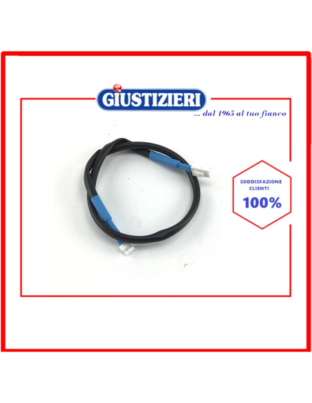 blue cable nucleus