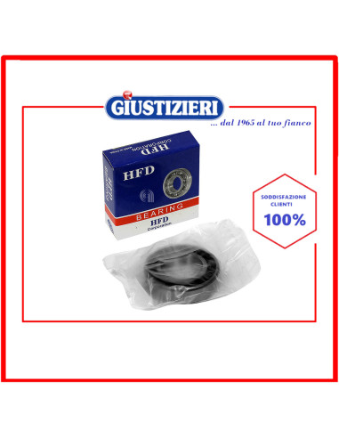 cuscinetto 6005-2rs lavatrice universale