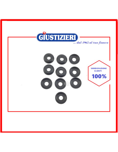 guarnizione perno rub.gas fhm 10pz