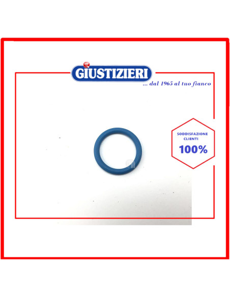 o-ring d=20 originale lavastoviglie whirlpool