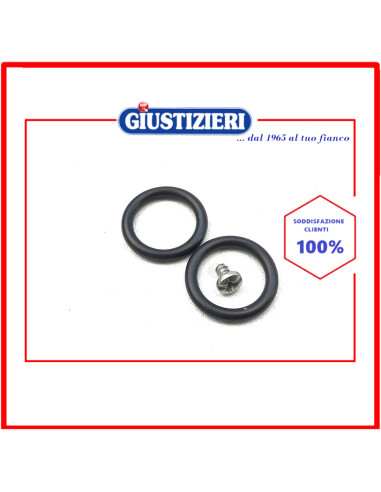 ric rub vite 2 o-ring diametro 20mm
