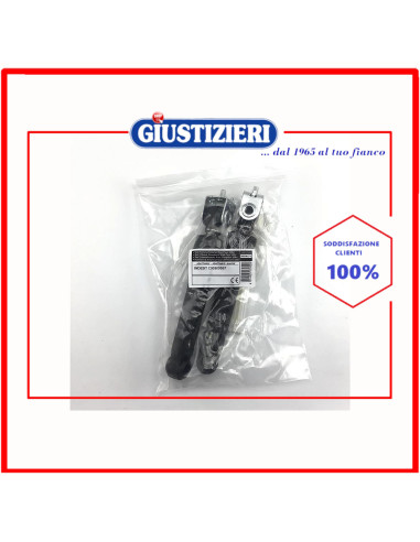 set 2 ammortizzatori con perni 100n lavatrice indesit