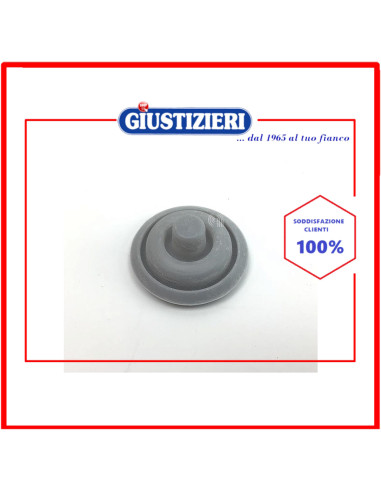 guarnizione indicatore