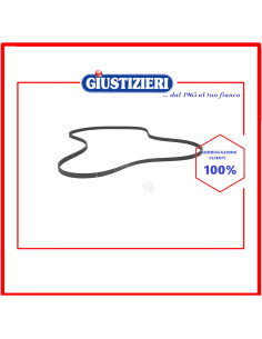 cinghia h5 1151 poly-v lavatrice universale