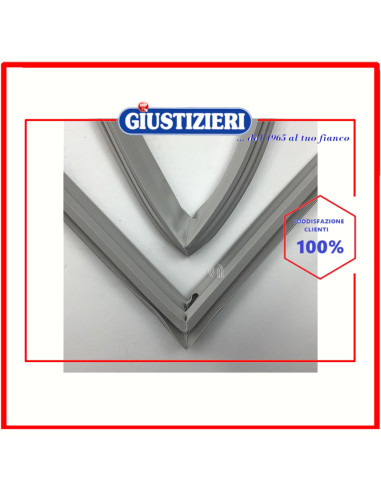 magnetic gasket