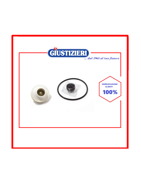 mtr511bo kit riparazione motopompa lavastoviglie bosch 18363 - giustizierishop.it