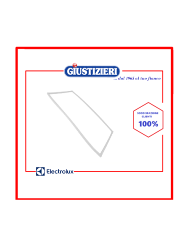 50059176003 guarnizione magnetica porta frigo electrolux ori - giustizierishop.it